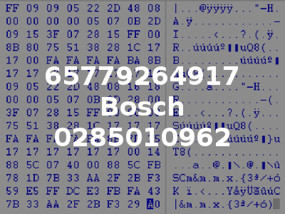 65779264917 Bosch 0285010962