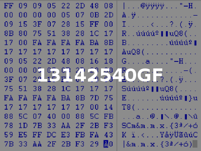 13142540GF