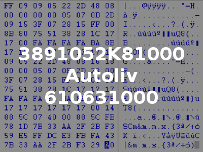 3891052K81000 Autoliv 610631000