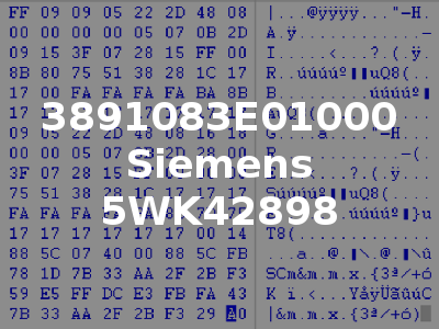 3891083E01000 Siemens 5WK42898