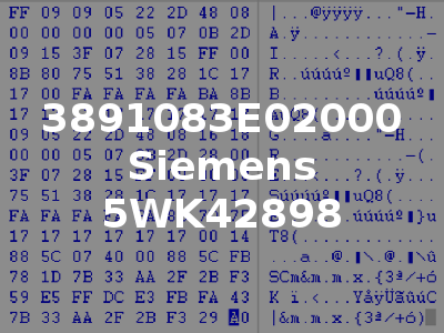 3891083E02000 Siemens 5WK42898