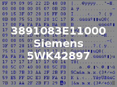 3891083E11000 Siemens 5WK42897