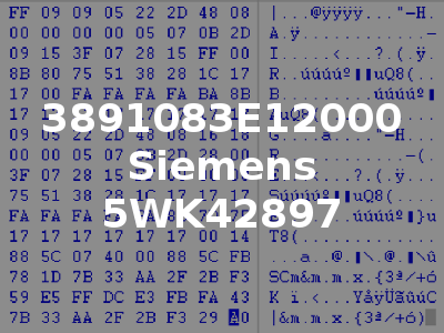 3891083E12000 Siemens 5WK42897