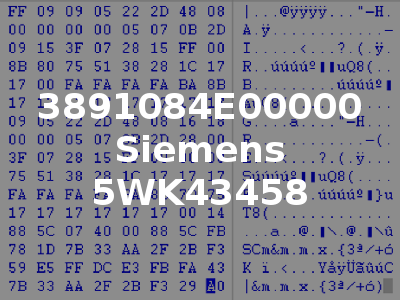 3891084E00000 Siemens 5WK43458