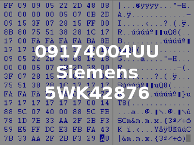 09174004UU Siemens 5WK42876