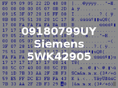 09180799UY Siemens 5WK42905