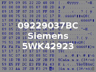09229037BC Siemens 5WK42923