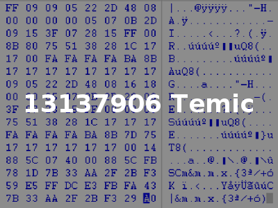 13137906 Temic
