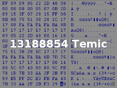 13188854 Temic