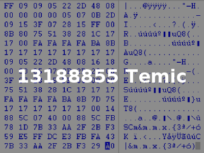 13188855 Temic