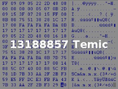 13188857 Temic