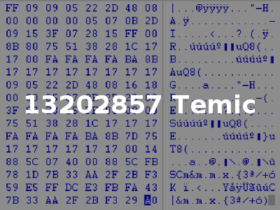 13202857 Temic