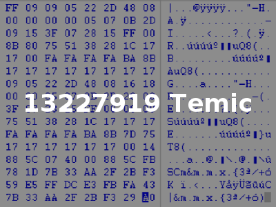 13227919 Temic