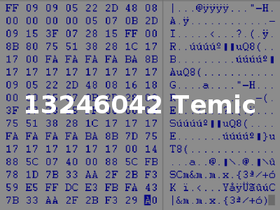 13246042 Temic