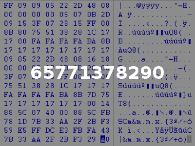 65771378290