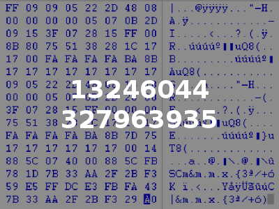 13246044 327963935
