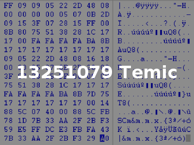 13251079 Temic