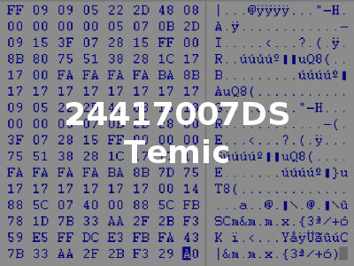 24417007DS Temic