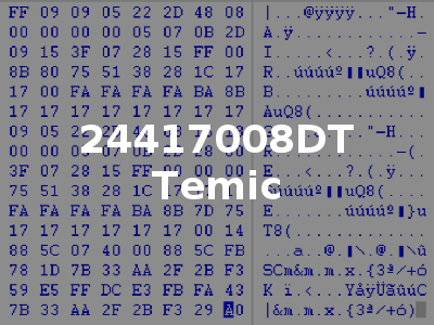 24417008DT Temic