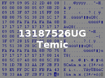 13187526UG Temic
