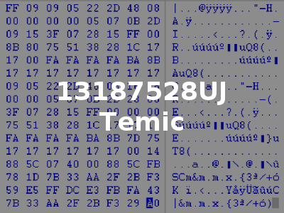 13187528UJ Temic