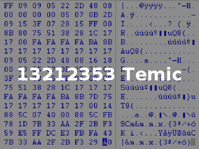 13212353 Temic