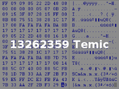 13262359 Temic