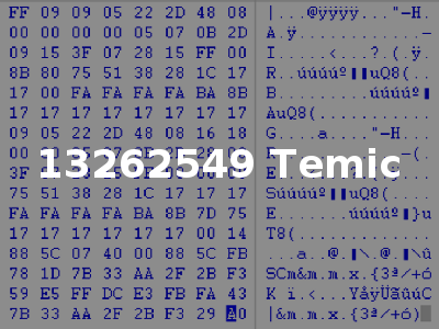 13262549 Temic