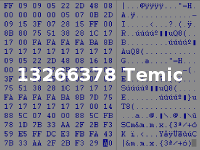 13266378 Temic