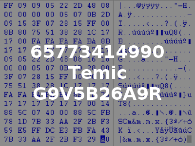 65773414990 Temic G9V5B26A9R