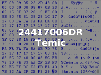 24417006DR Temic