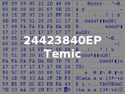 24423840EP Temic