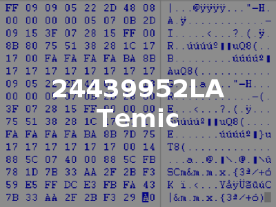 24439952LA Temic