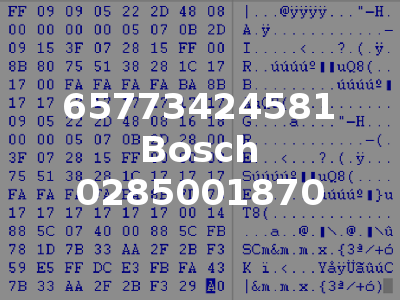 65773424581 Bosch 0285001870