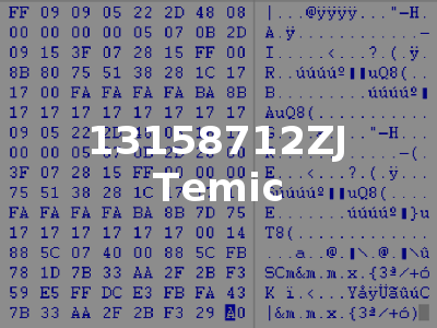 13158712ZJ Temic