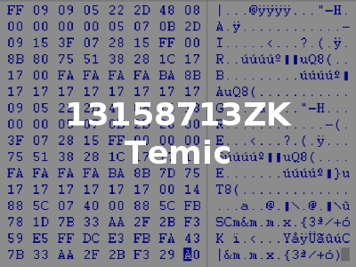 13158713ZK Temic