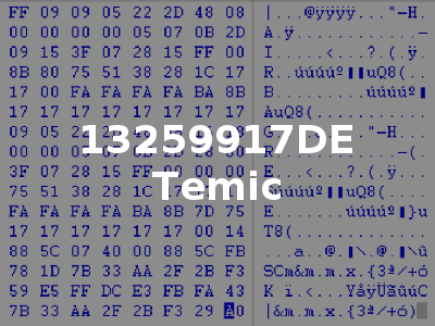 13259917DE Temic