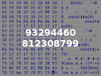 93294460 812308799