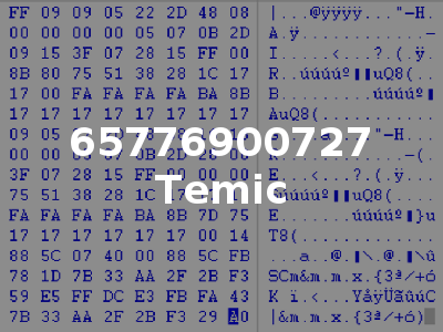 65776900727 Temic