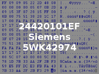 24420101EF Siemens 5WK42974