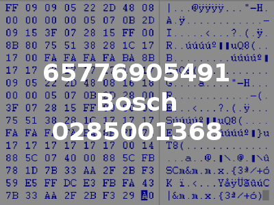 65776905491 Bosch 0285001368