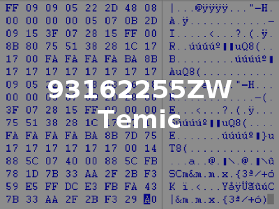 93162255ZW Temic