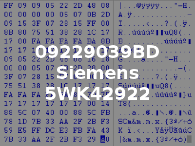 09229039BD Siemens 5WK42922