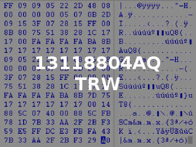 13118804AQ TRW