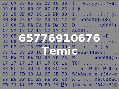 65776910676 Temic