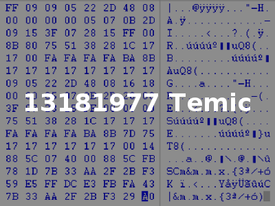 13181977 Temic