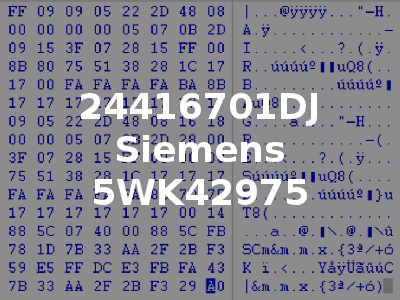 24416701DJ Siemens 5WK42975