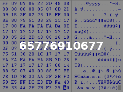 65776910677