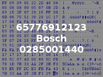 65776912123 Bosch 0285001440