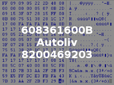 608361600B Autoliv 8200469203